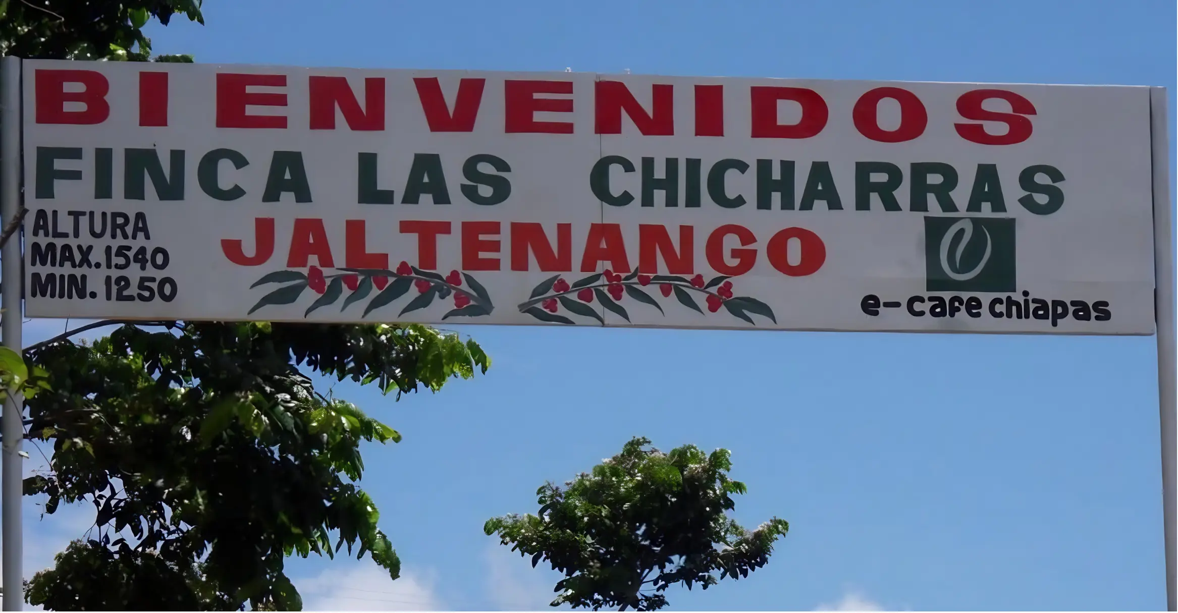 Coffee landscape at Finca Las Chicharras in Chiapas, Mexico