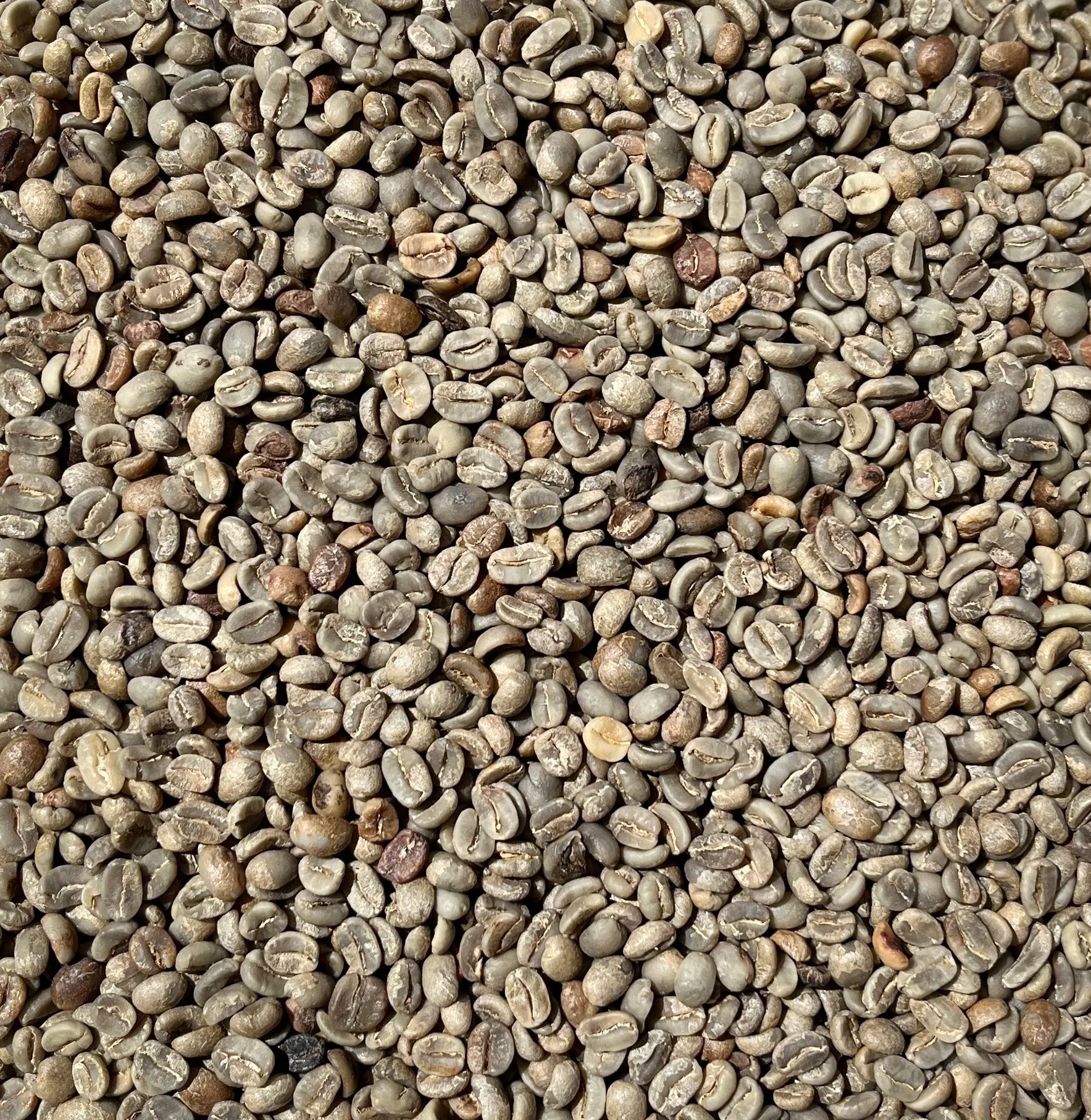 Green coffee · G4