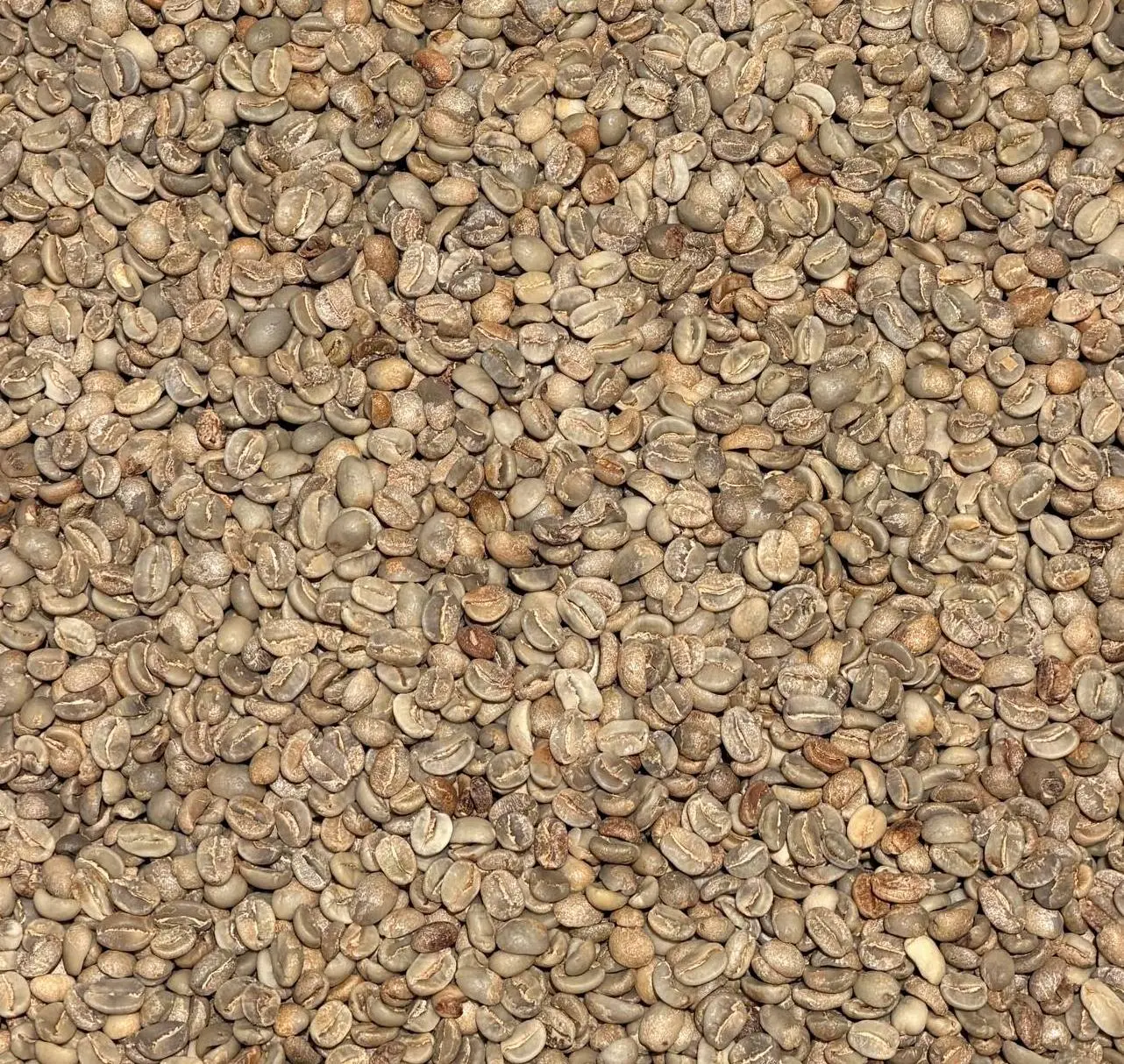 Green coffee · PL-30