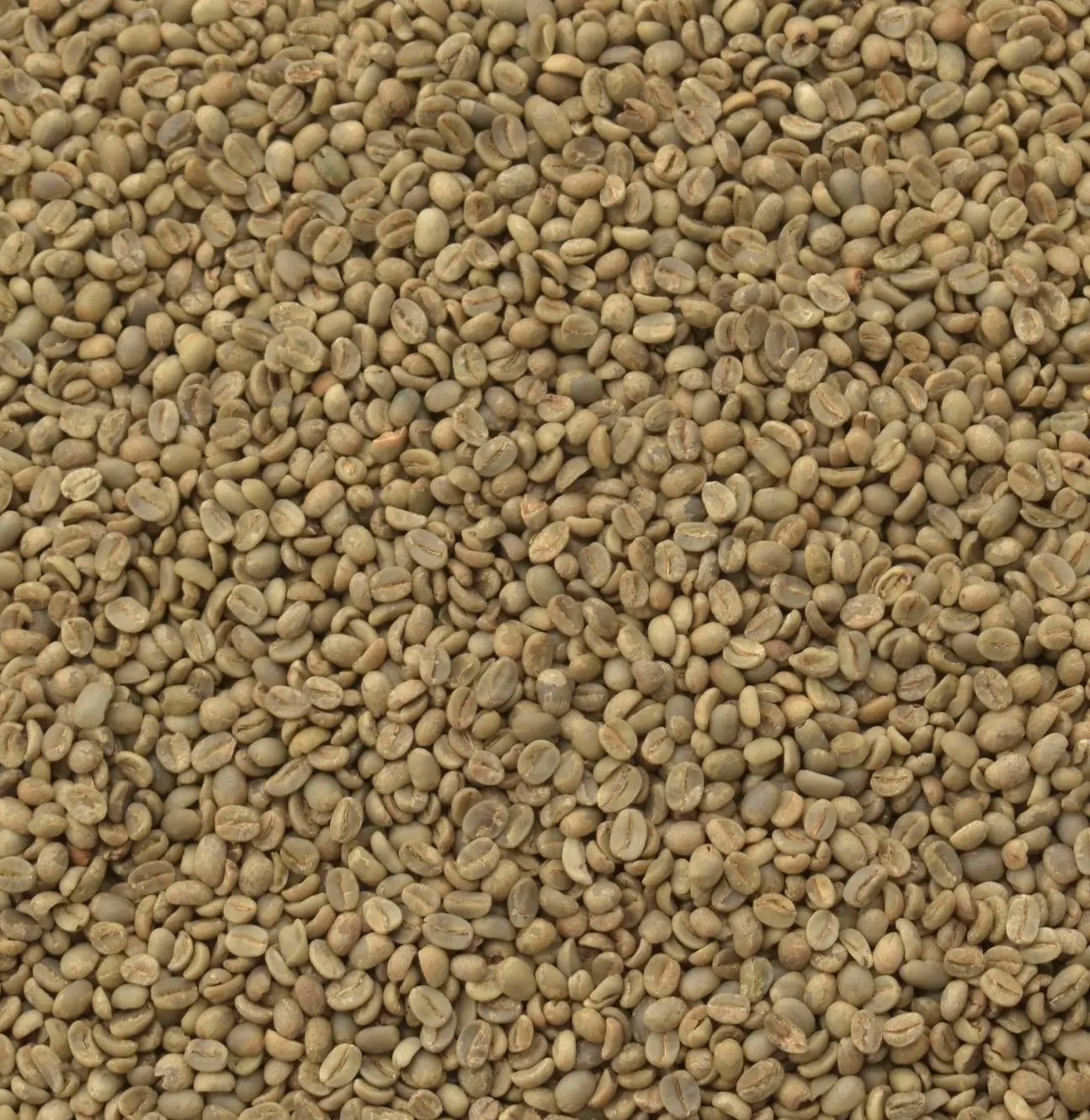 Green coffee · PL-MIX