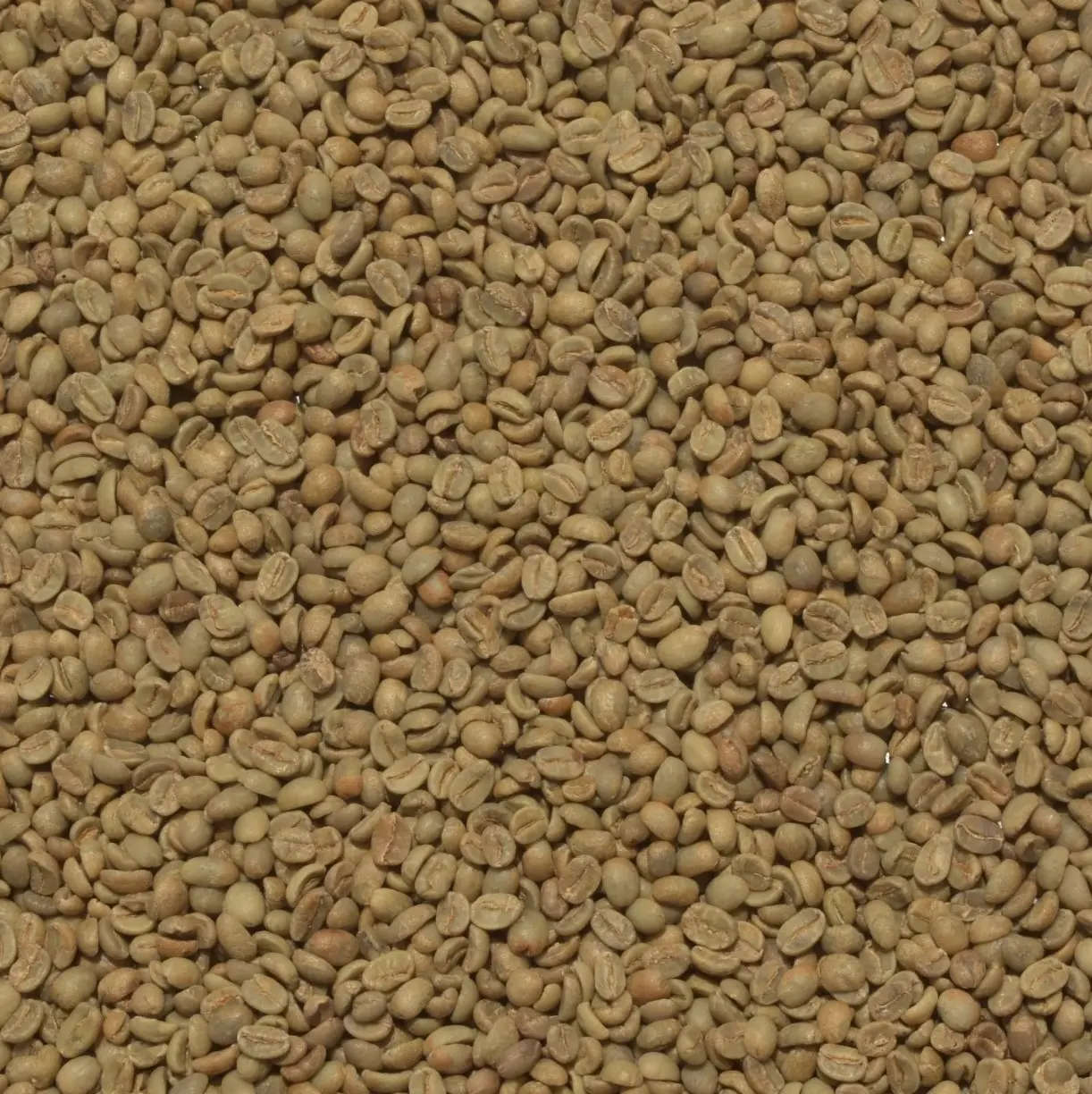 Green coffee · EP Piedra del Soldado